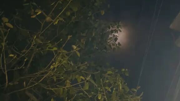 রাতে চাঁদ কেমন লাগে 🤍
