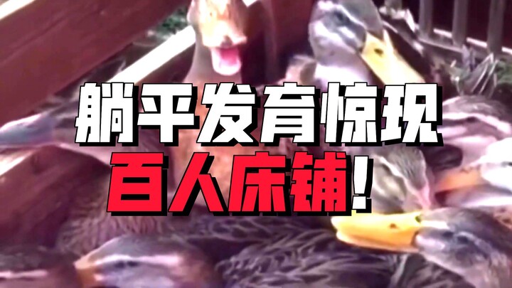 Berkembang sambil tiduran dalam pertempuran 100 pemain? Satu ruangan punya 100 tempat tidur, para Pe