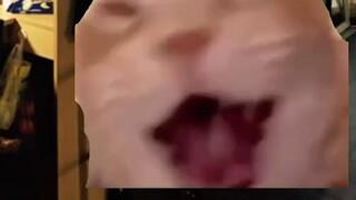 الحياة اليومية لأصدقائي في مجموعة OK #1