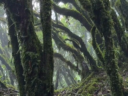 Mọi người có dám đến những nơi này không?