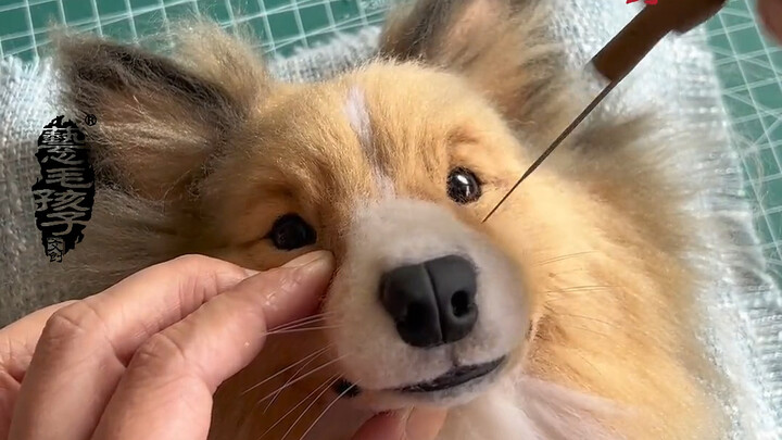 [Felted Wool] Today, this dog’s owner had been waiting for a year and three months. When they finall