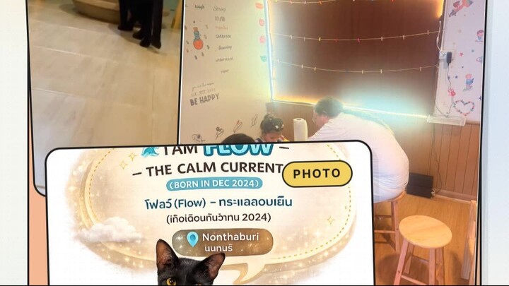 The Seat Beside the Cat | ที่นั่งข้างน้องแมว