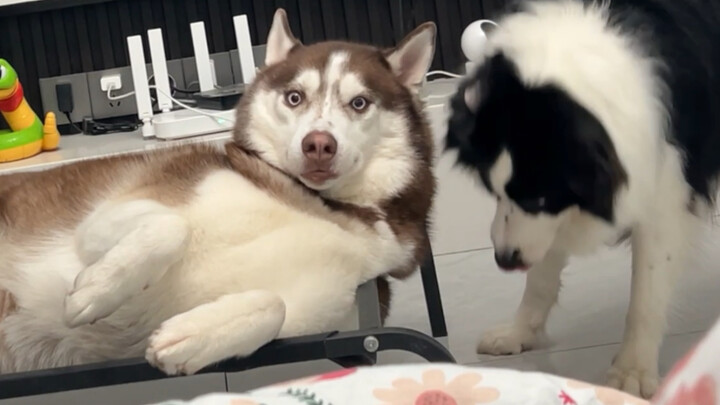 Eleven: I wanna cuddle with you!