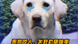 ลากจูงหมู: จูงเชือก! จูงเชือก การเลี้ยงสุนัขอย่างมีอารยะเริ่มต้นที่การลากจูงหมู