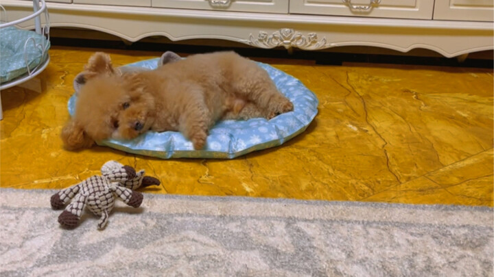 It’s so hot I’ve even kicked the blanket off.