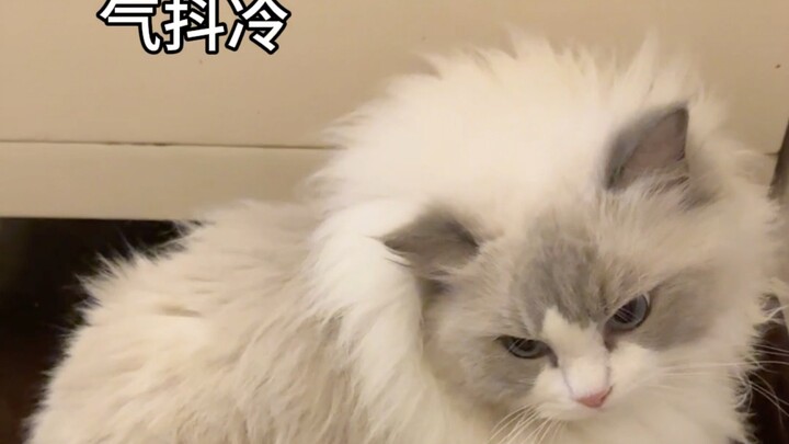 อีกวันที่คุณตาเร่งสะสมคะแนนความนิยมอย่างหนัก
