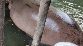 At this point, she hadn't yet realized the seriousness of the problem.