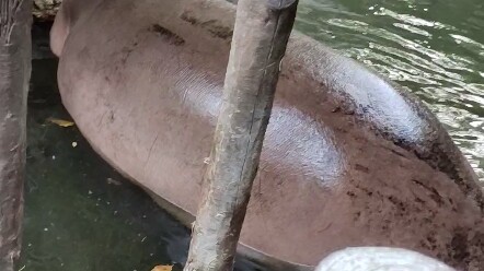 في هذا الوقت، لم تكن قد أدركت بعد خطورة المشكلة.