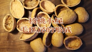 【微缩】核桃小屋一毛坯房的形成