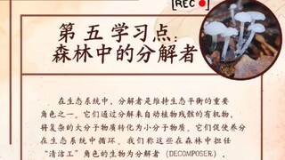 弟五学习点 จุดศึกษาที่5