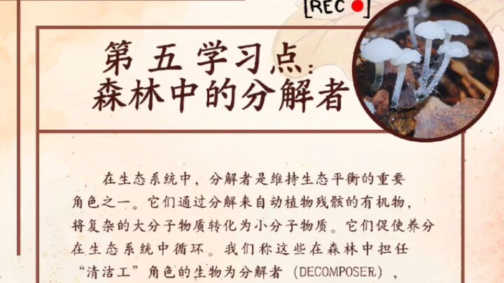 弟五学习点 จุดศึกษาที่5