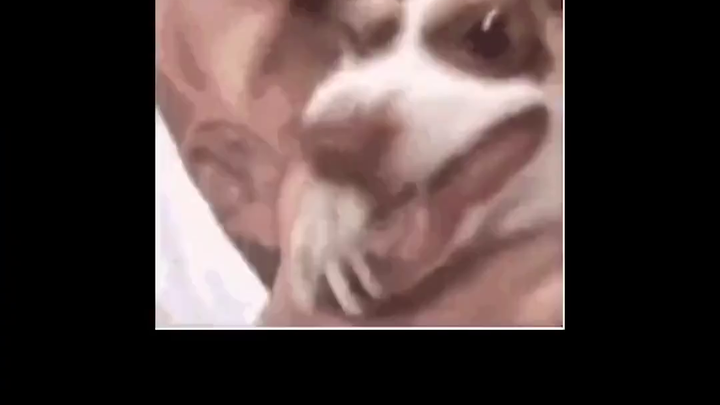 Đề thi dự phòng kỳ thi đại học: Ba lần được kích hoạt trong lịch sử và những tác động của chúng