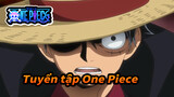 Tổng hợp cut One Piece chất lừ