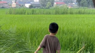 “终于明白反派为什么会因为一首歌愣住了...”