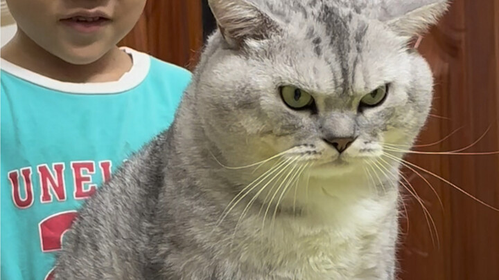 Đại Tráng ngồi xe không có chỗ để đuôi