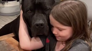 小女孩特别怕狗，但是自从见了这条狗狗以后，她似乎彻底改观了...