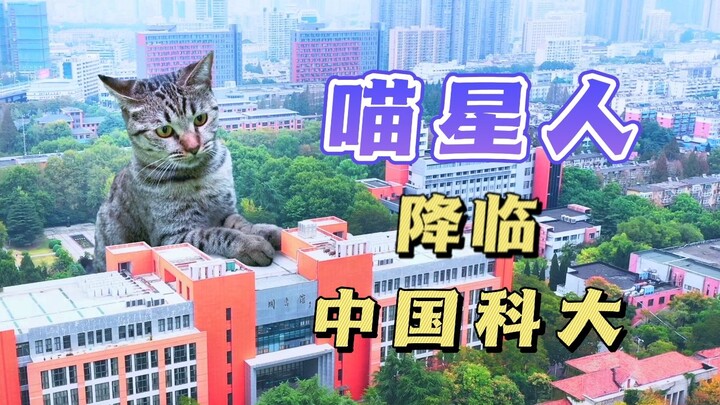 Shocking! A giant cat has been spotted at USTC!