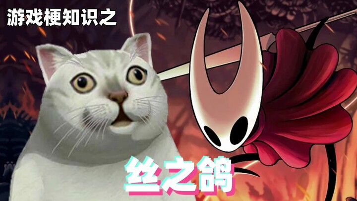 Gaming Memes 101: The "Silk Pigeon"