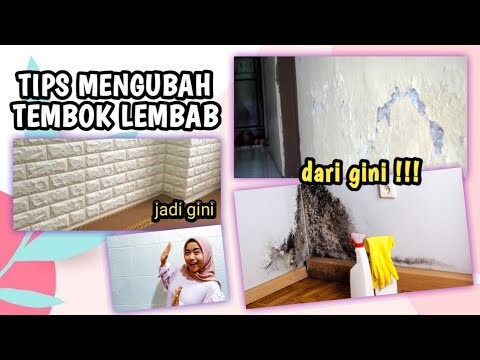 ROOM DECOR RUMAH KONTRAKAN SEDERHANA II REVIEW SCARLETT