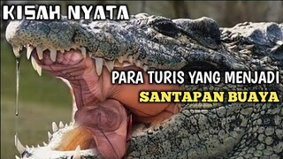 KISAH NYATA SEKUMPULAN TURIS YANG DI SERANG BUAYA RAKSASA #Alurcerita