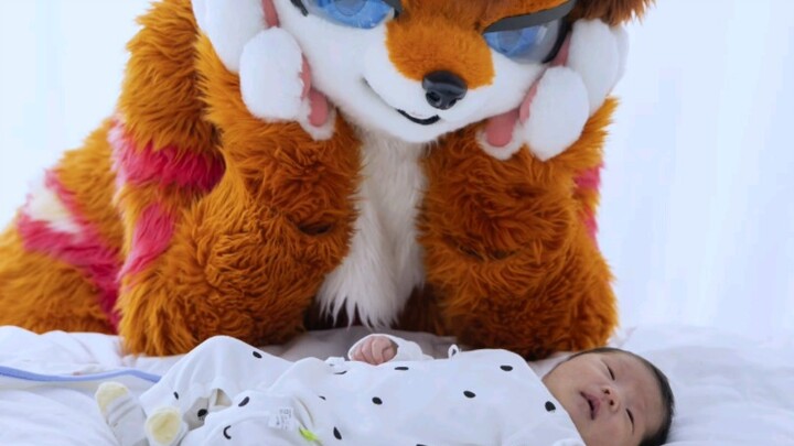 Tiểu Tiểu Hồ đã chào đời rồi, là một chiếc áo bông nhỏ hay khóc đấy～