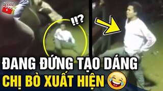 Tin 3 Phút Hài | Tổng hợp tình huống 'HÀI ĐỘNG VẬT' không cười không lấy tiền P18