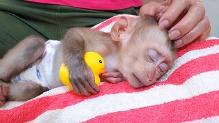 Liheang So Lovely Sleep Hugging Baby Duck Toys