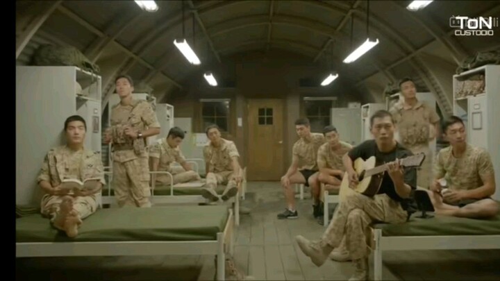 decendent of the sun#