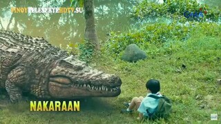 Lolong February 12 2025