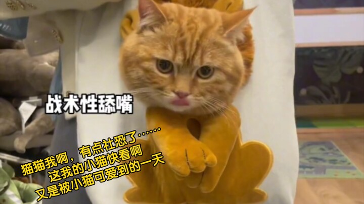 I’m a bit socially anxious, you know… Check out my little cat! #AnotherDayCuteAsHell Thanks to My Ki