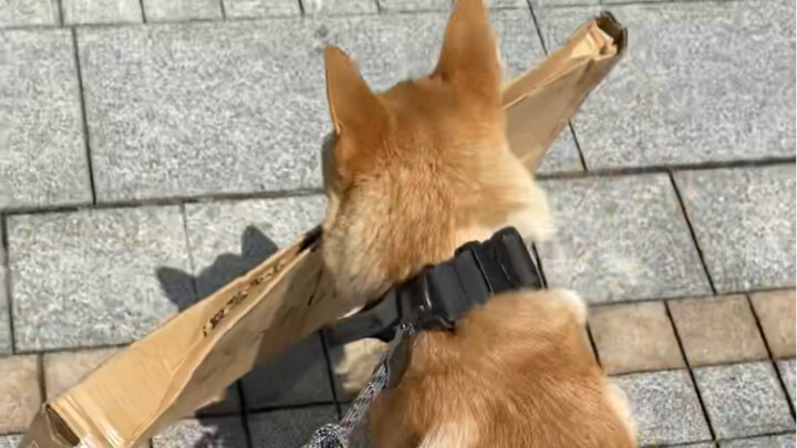 Just listen to me first.