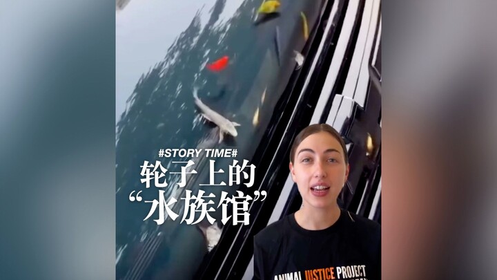 Nhốt con cá giữa lớp màng trong suốt và nắp ca-pô ô tô… Đang làm gì vậy?!