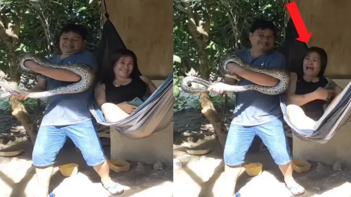 Pinoy Funny Videos Pinoy Memes Online Sabong Lang Malakas Saan Ka Sa Meron O Sa Wala Pusta Na Bilibili