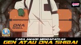 CARA AMADO MENDAPATKAN GEN ATAU DNA SHIBAI