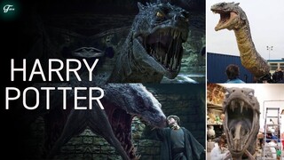 Sinh Vật Huyền Bí Trong Harry Potter Và Cách Tạo Ra Chúng...