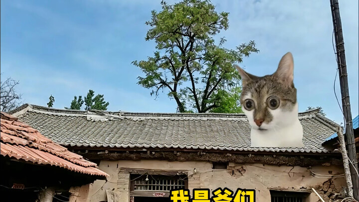 Tôi là đàn ông!!