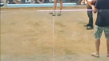 Cockname: Dos - Personal breed (bcock goldenboy x hen melsims) 1st win - dead