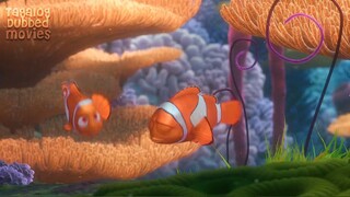 Finding_Nemo__2003__-_Opening_Scene_Tagalog_Filipino_Dubbed(0)
