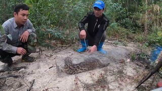 săn bắt ẩm thực vùng cao-Chạm Trán Hổ Dữ Chúa Tể Của Rừng Xanh , almost died of a tiger