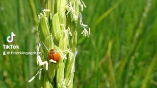 龙不与群蛇同穴，凤不与凡鸟同飞，大家只要把这份情，深深地记在心里就足够了