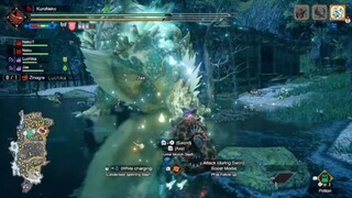 VS Zinogre