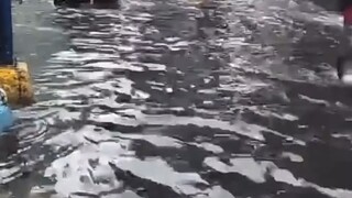“爱自己是终身浪漫的开始”—— 不必讨好谁，你的朋友圈就该有自己的节奏