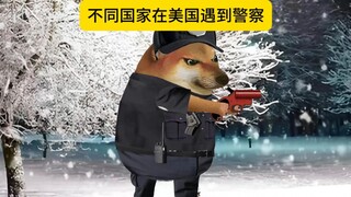 不同国家在美国遇到警察3