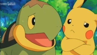 Bộ sưu tập tất cả các Pokémon từ Muji đến XY mà Ash đã chinh phục được