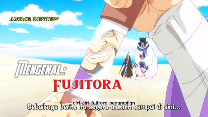 Mengenal singkat Fujitora || one piece