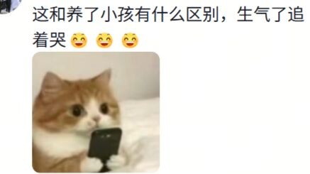 Lần đầu tiên thấy một chú mèo con giận dữ như vậy 🐱