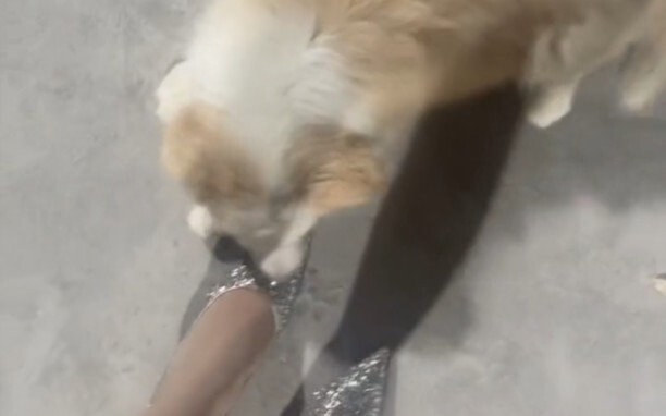 What should I do if I accidentally get hooked! It’s pretty urgent.