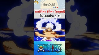 วันพีช:ผลมนุษย์โมเดลต่างๆ #shorts #onepiece #roblox #bloxfruits #tiktok #fypシ #fyp #anime #gaming