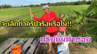 ตอบคำถามหายไปไหนมาหลายวันจะเลิกทำคริปจริงหรอ!!