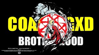 Fullmetal Alchemist: Brotherhood「AMV」Don't Forget(to Forget Me) ᴴᴰ